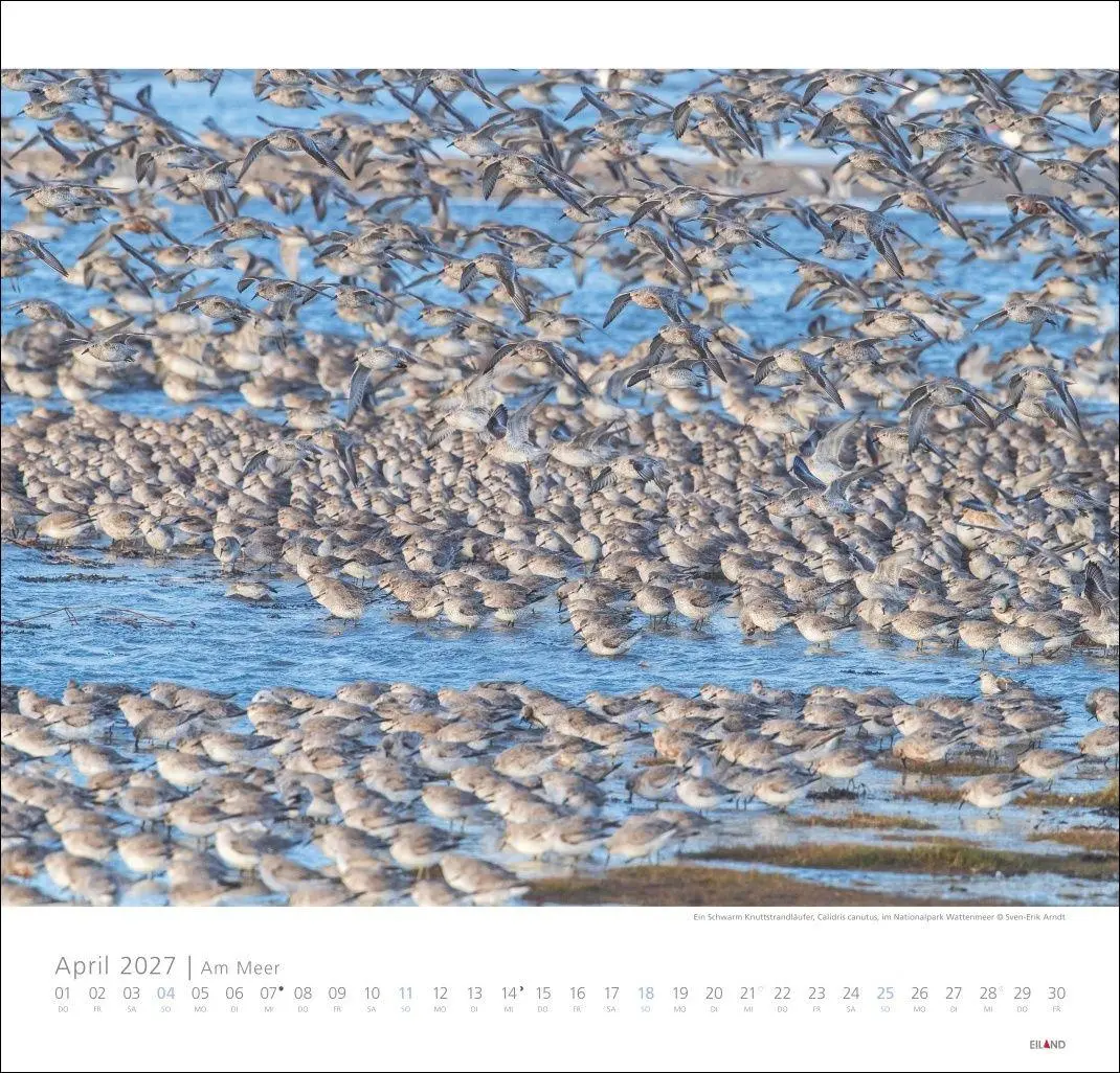 Bild: 9783964024138 | Am Meer Edition Kalender 2027 - Sand, Wind und Wellen | Hans Jessel