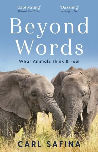 Cover: 9781788164238 | Beyond Words | What Animals Think and Feel | Carl Safina | Taschenbuch