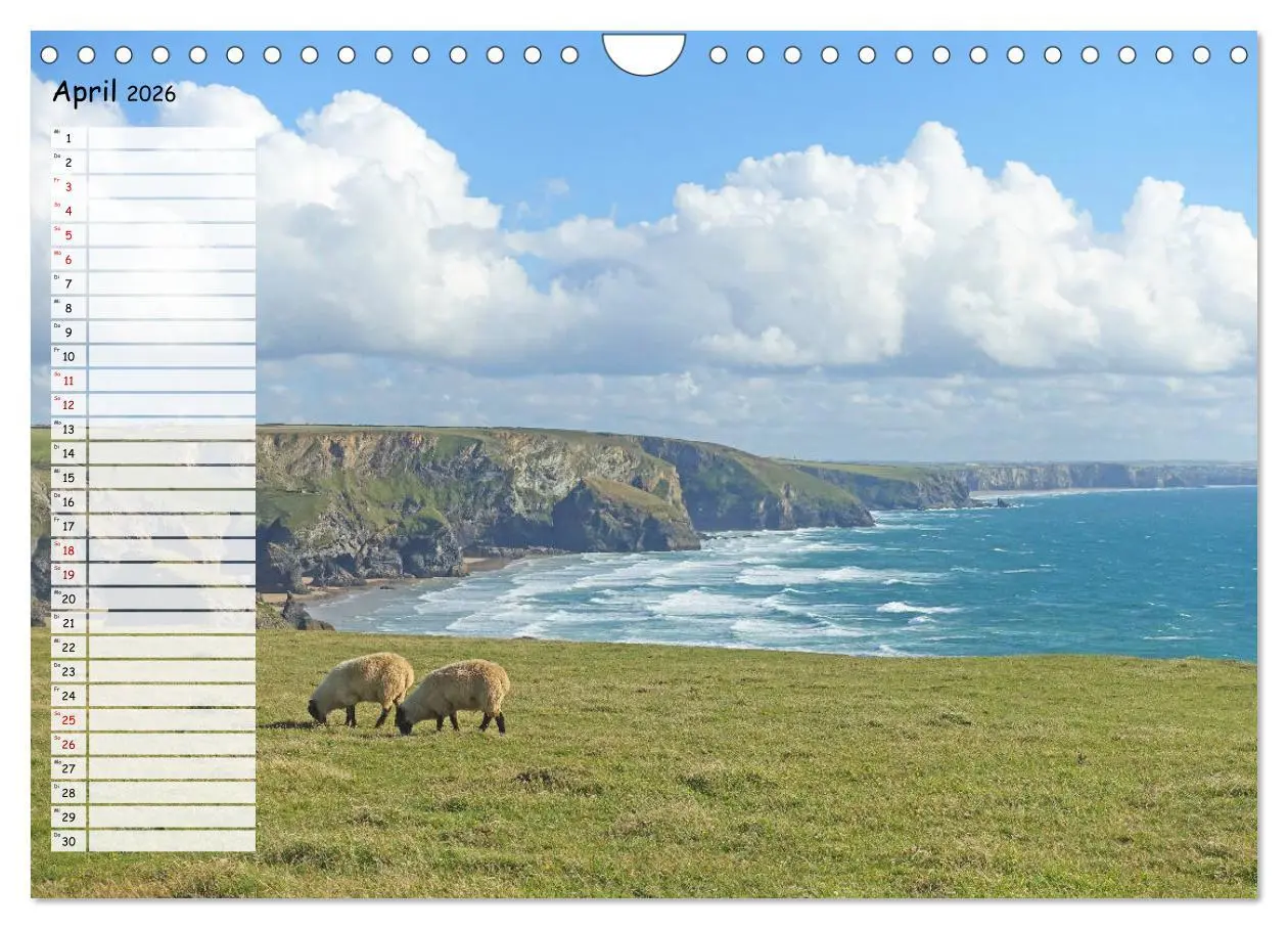 Bild: 9783457824238 | Cornwall. Terminkalender (Wandkalender 2026 DIN A4 quer), CALVENDO...