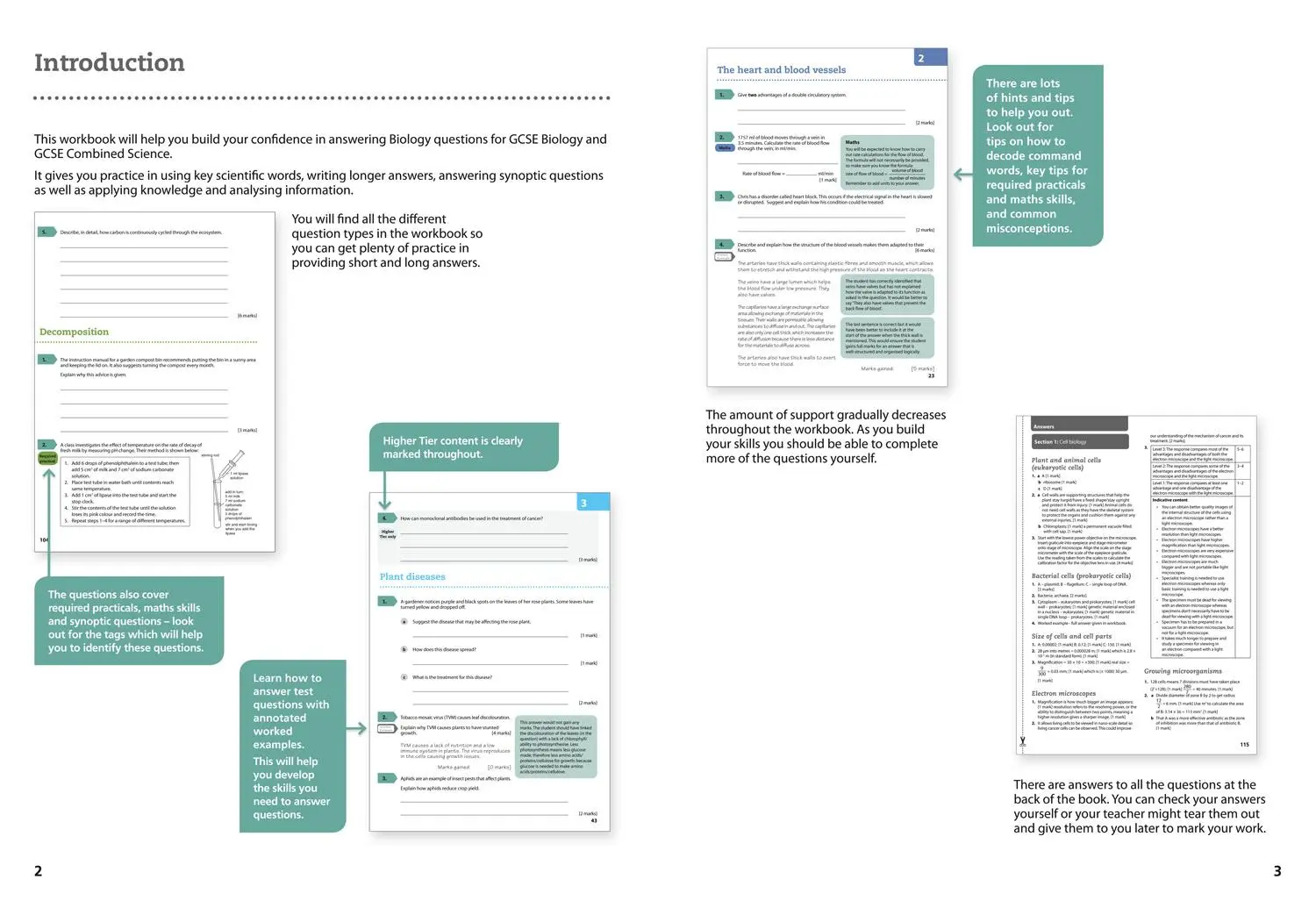 Bild: 9780008194338 | Aqa GCSE (9-1) Biology Achieve Grade 8-9 Workbook | Collins Uk | Buch