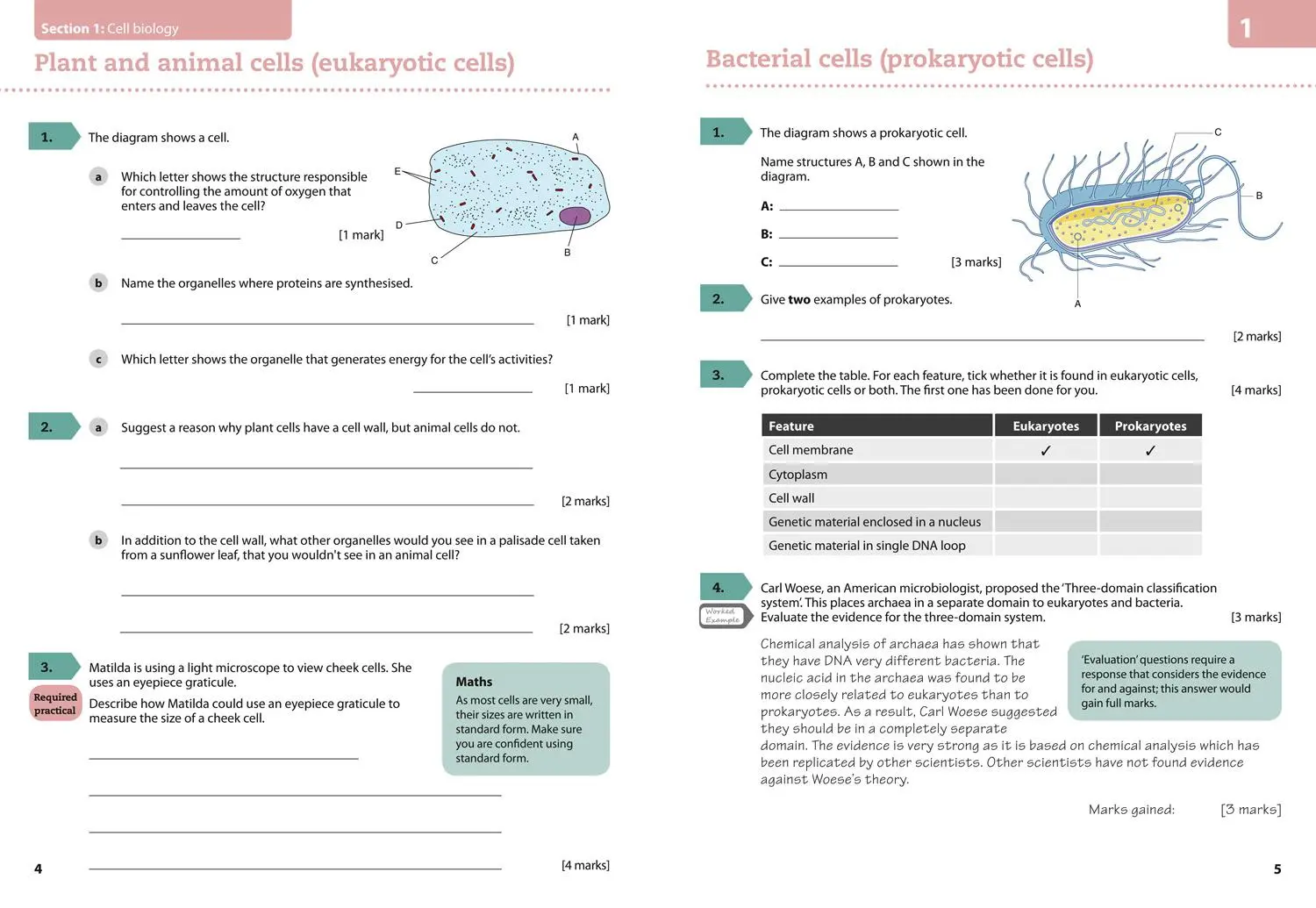 Bild: 9780008194338 | Aqa GCSE (9-1) Biology Achieve Grade 8-9 Workbook | Collins Uk | Buch