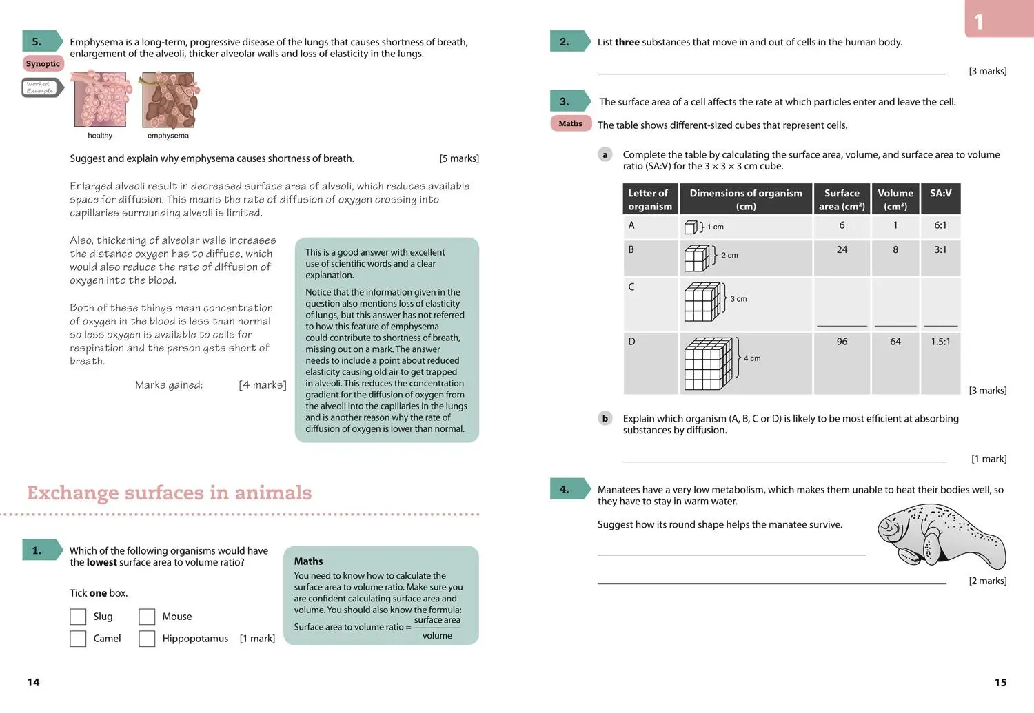 Bild: 9780008194338 | Aqa GCSE (9-1) Biology Achieve Grade 8-9 Workbook | Collins Uk | Buch