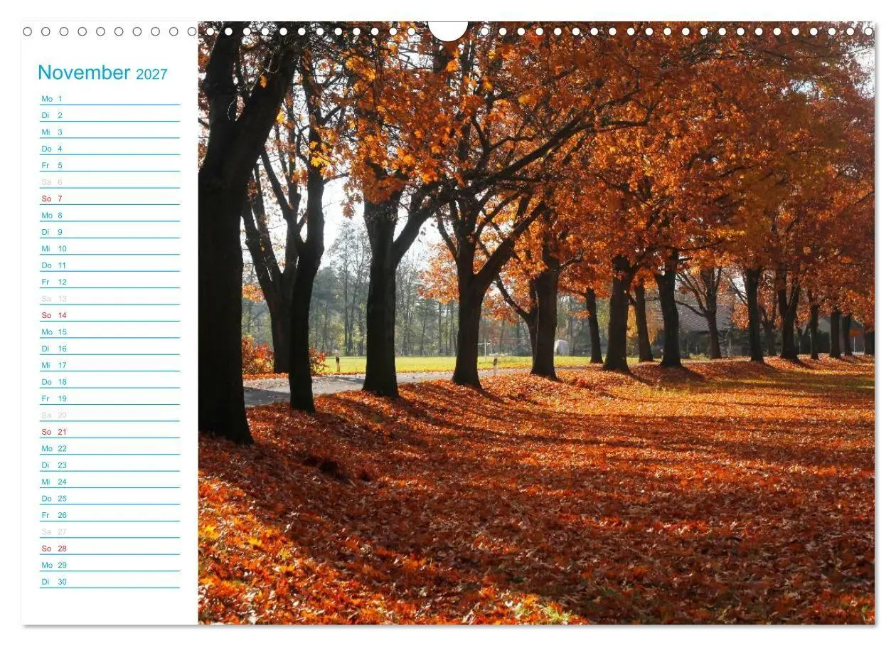 Bild: 9783569924338 | Wunderschöner Spreewald (Wandkalender 2027 DIN A3 quer), CALVENDO...