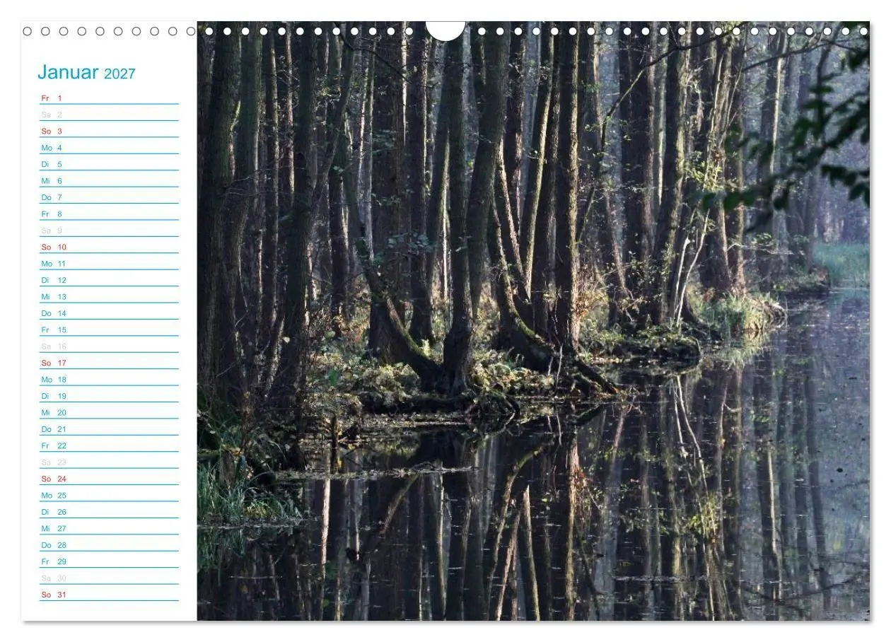 Bild: 9783569924338 | Wunderschöner Spreewald (Wandkalender 2027 DIN A3 quer), CALVENDO...