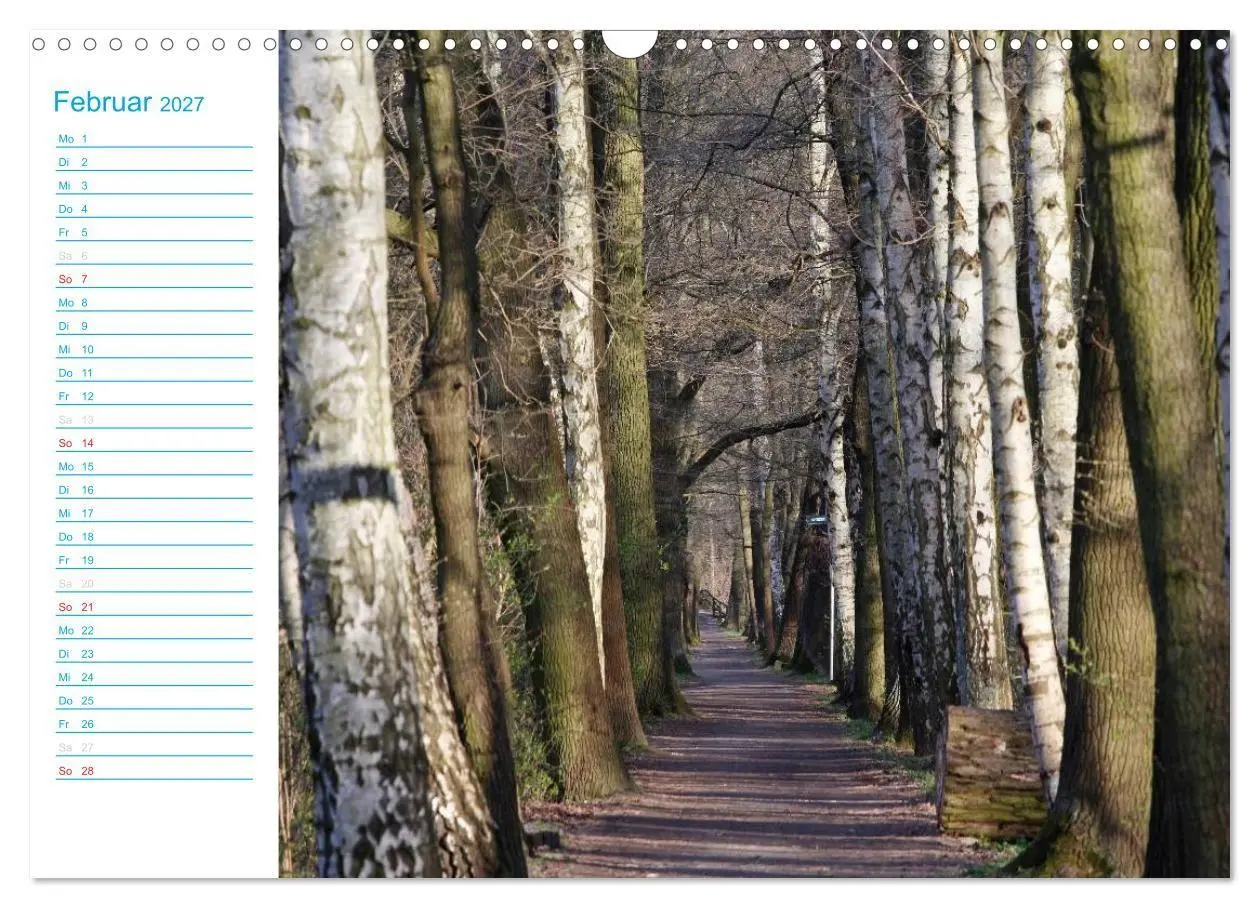 Bild: 9783569924338 | Wunderschöner Spreewald (Wandkalender 2027 DIN A3 quer), CALVENDO...