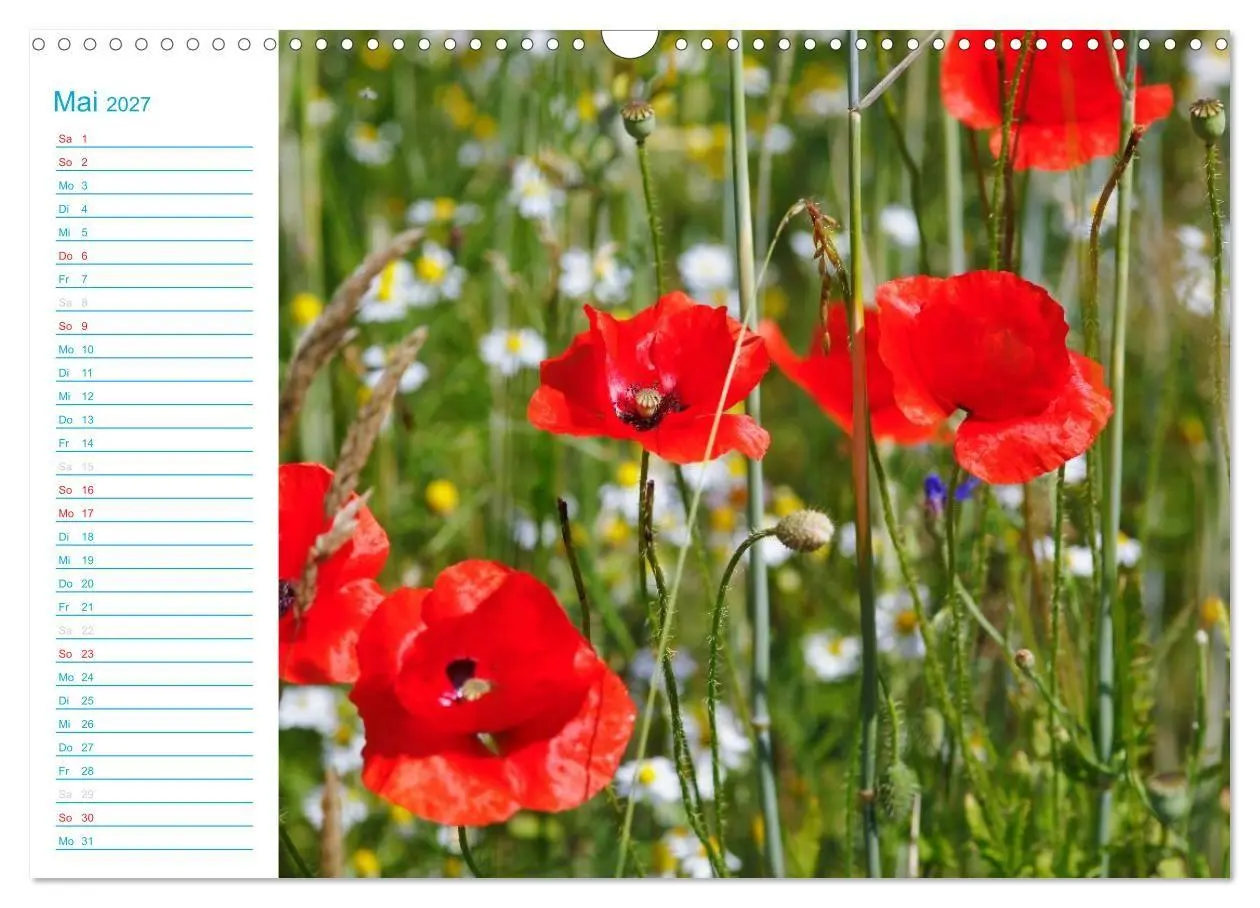 Bild: 9783569924338 | Wunderschöner Spreewald (Wandkalender 2027 DIN A3 quer), CALVENDO...