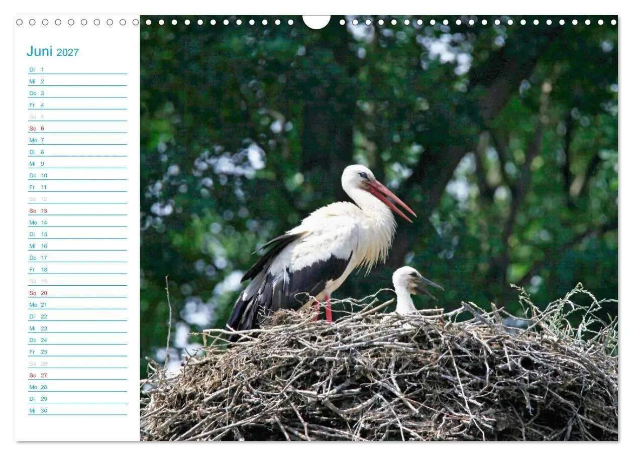 Bild: 9783569924338 | Wunderschöner Spreewald (Wandkalender 2027 DIN A3 quer), CALVENDO...