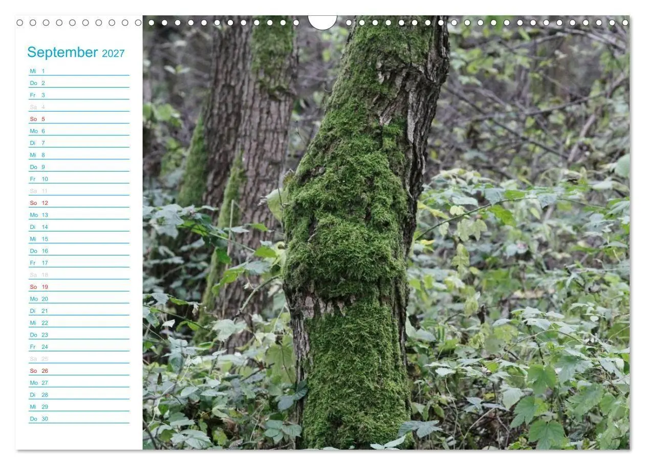 Bild: 9783569924338 | Wunderschöner Spreewald (Wandkalender 2027 DIN A3 quer), CALVENDO...