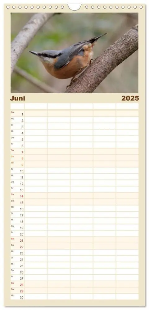 Bild: 9783457114438 | Familienplaner 2025 - Vögel ganz nah mit 5 Spalten (Wandkalender,...