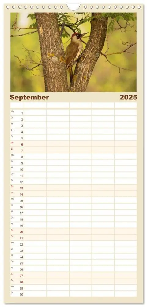 Bild: 9783457114438 | Familienplaner 2025 - Vögel ganz nah mit 5 Spalten (Wandkalender,...