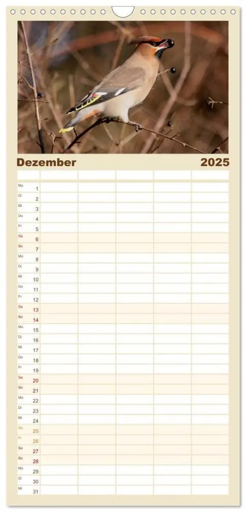 Bild: 9783457114438 | Familienplaner 2025 - Vögel ganz nah mit 5 Spalten (Wandkalender,...