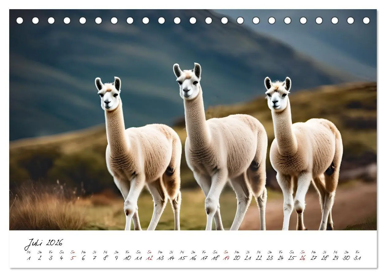 Bild: 9783457354438 | Alpakas, die sanften Andenbewohner (Tischkalender 2026 DIN A5...