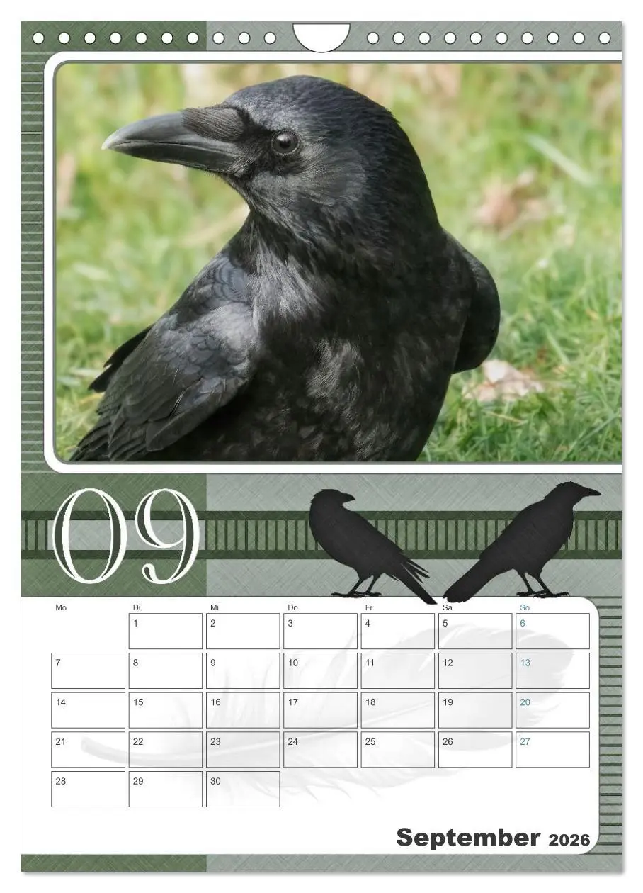 Bild: 9783457734438 | Krähen - Clever notiert! Mit Köpfchen durchs ganze Jahr...