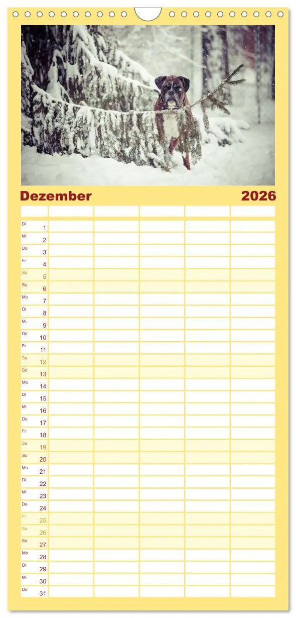 Bild: 9783516514438 | Familienplaner 2026 - Deutscher Boxer 2026 mit 5 Spalten...