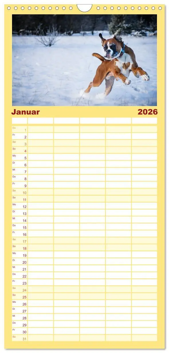 Bild: 9783516514438 | Familienplaner 2026 - Deutscher Boxer 2026 mit 5 Spalten...