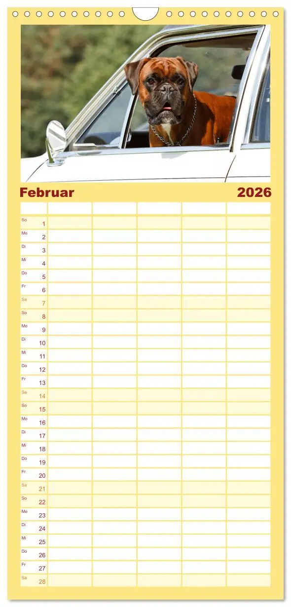 Bild: 9783516514438 | Familienplaner 2026 - Deutscher Boxer 2026 mit 5 Spalten...