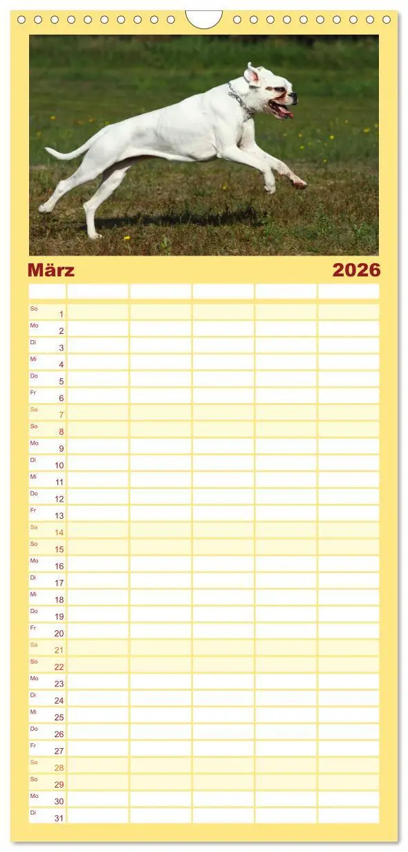 Bild: 9783516514438 | Familienplaner 2026 - Deutscher Boxer 2026 mit 5 Spalten...
