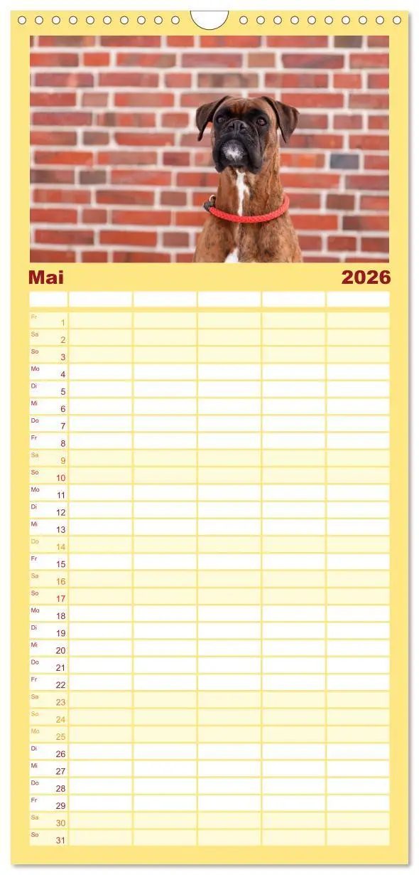 Bild: 9783516514438 | Familienplaner 2026 - Deutscher Boxer 2026 mit 5 Spalten...