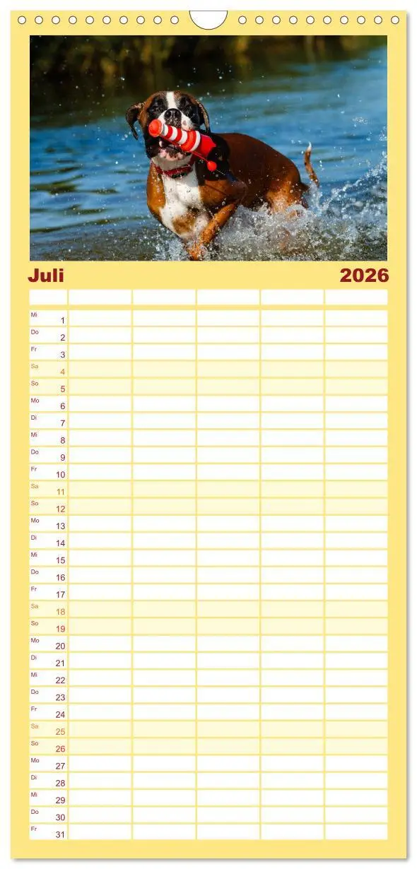 Bild: 9783516514438 | Familienplaner 2026 - Deutscher Boxer 2026 mit 5 Spalten...