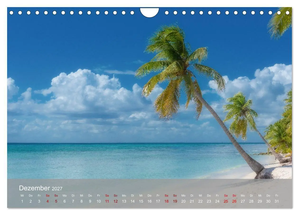 Bild: 9783569464438 | Karibik Traum Isla Saona (Wandkalender 2027 DIN A4 quer), CALVENDO...