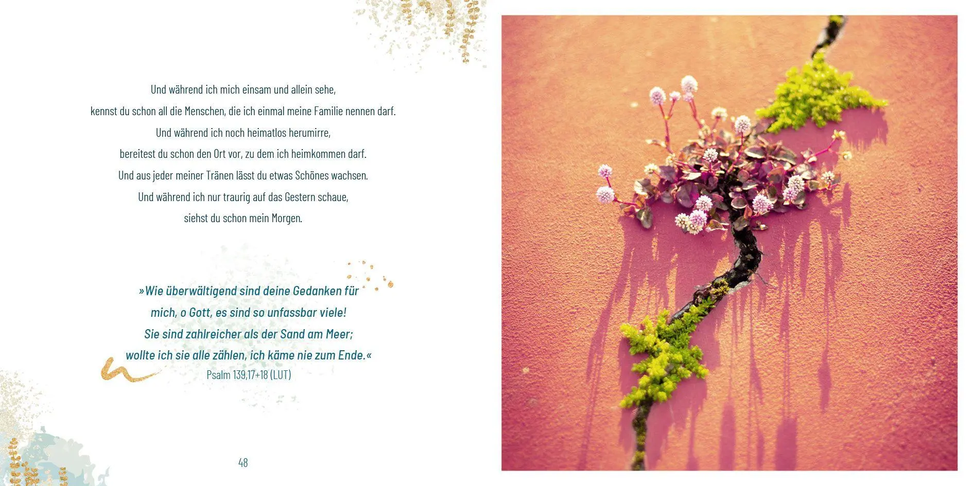 Bild: 9783963624438 | Weil du so wertvoll bist | Julia Hasselt | Buch | 64 S. | Deutsch