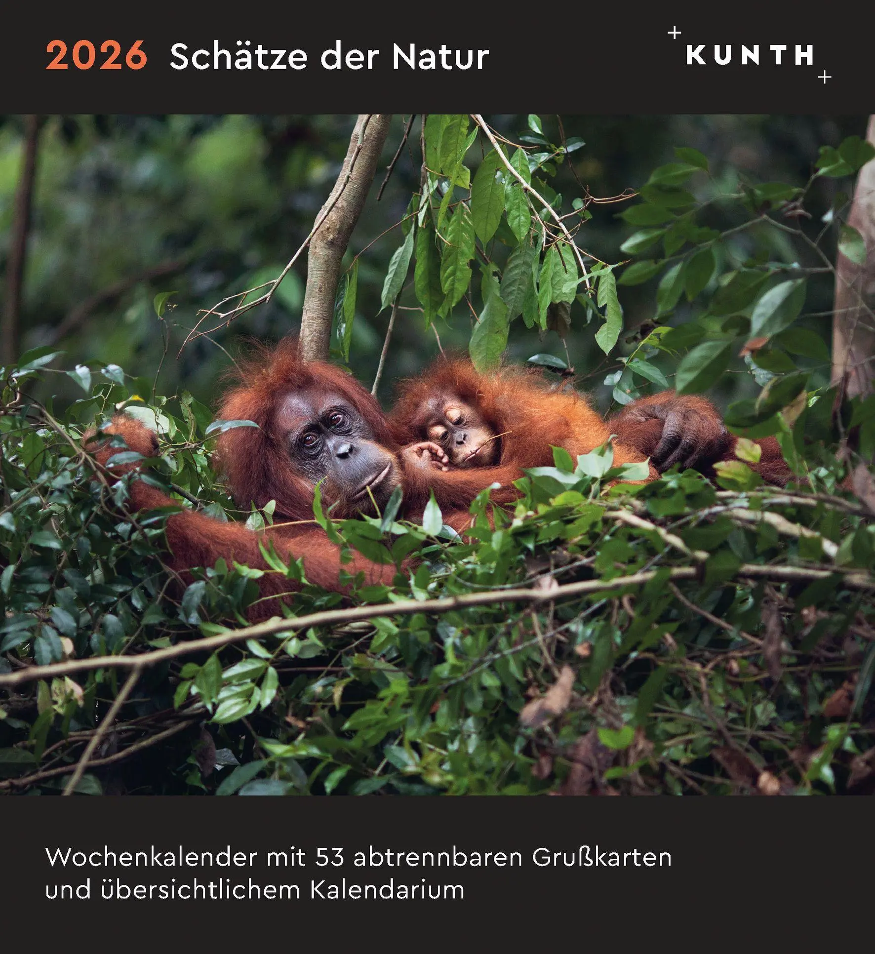Cover: 9783965914438 | Schätze der Natur - KUNTH Postkartenkalender 2026 | Kalender | 53 S.