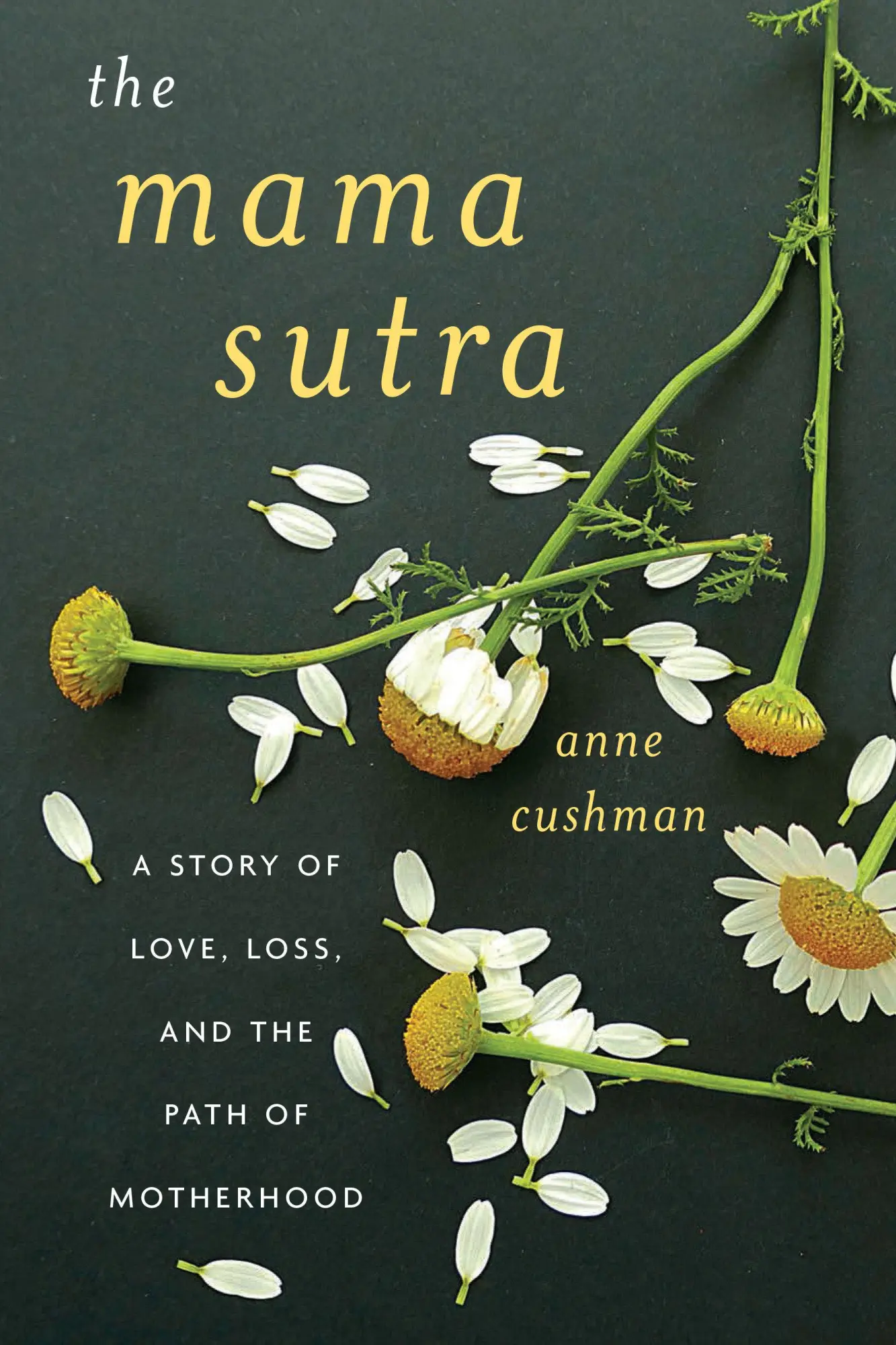 Cover: 9781611804638 | The Mama Sutra | A Story of Love, Loss, and the Path of Motherhood