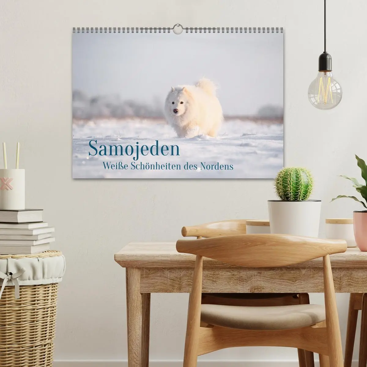 Bild: 9783457954638 | Samojeden - Liebenswerte Fellkugeln (Wandkalender 2026 DIN A3...