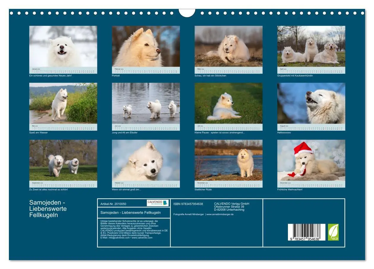 Bild: 9783457954638 | Samojeden - Liebenswerte Fellkugeln (Wandkalender 2026 DIN A3...
