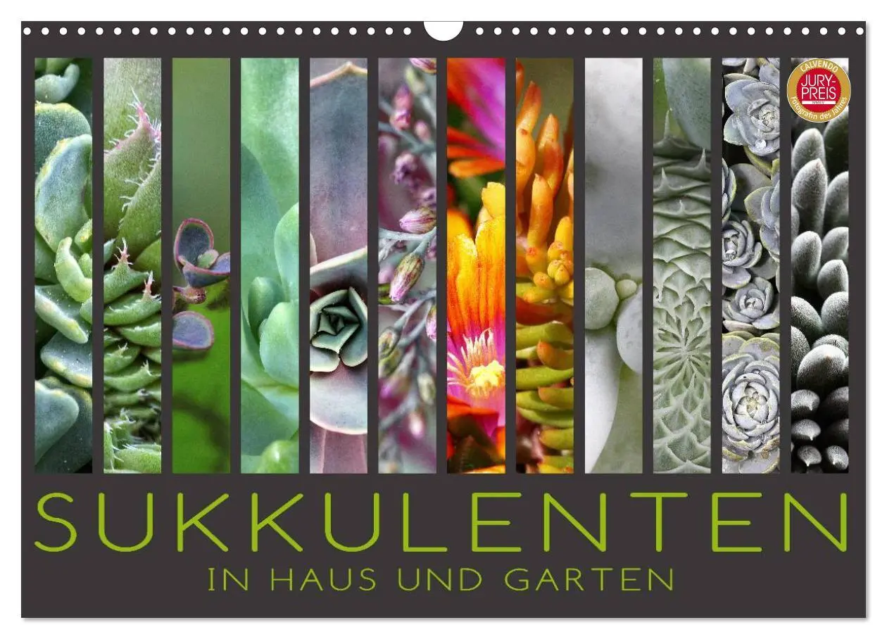 Cover: 9783516044638 | Sukkulenten in Haus und Garten (Wandkalender 2026 DIN A3 quer),...