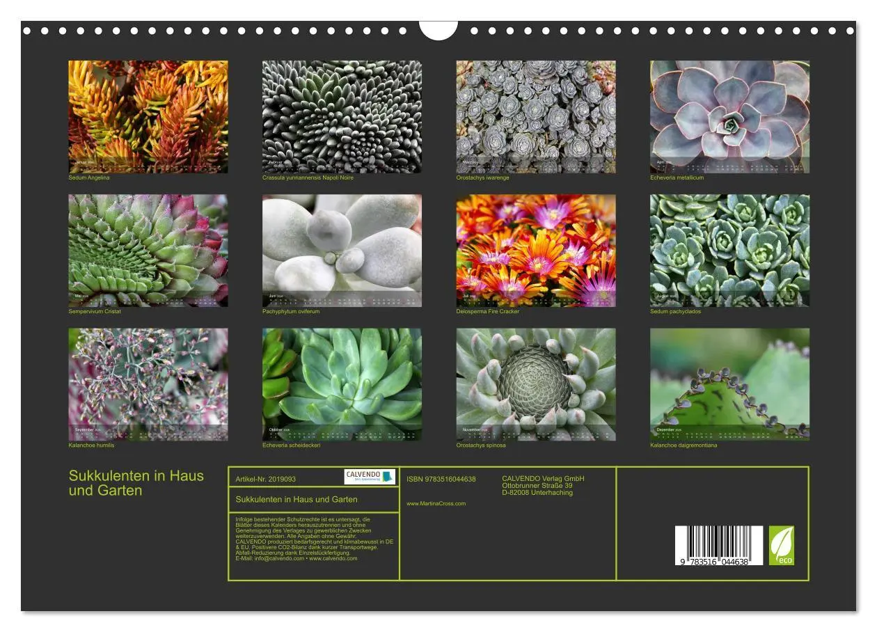 Bild: 9783516044638 | Sukkulenten in Haus und Garten (Wandkalender 2026 DIN A3 quer),...