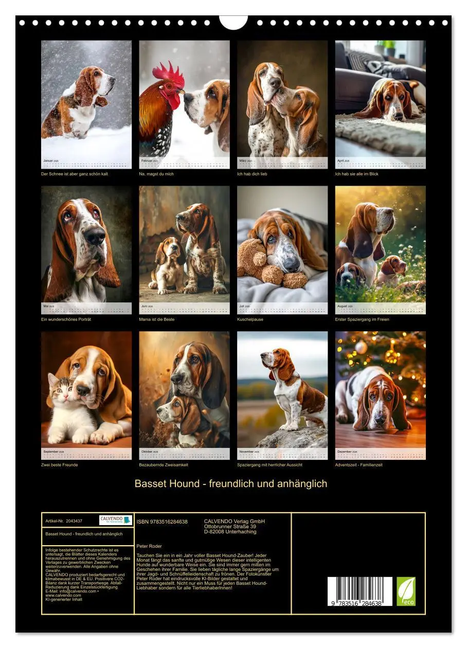 Bild: 9783516284638 | Basset Hound - freundlich und anhänglich (Wandkalender 2026 DIN A3...