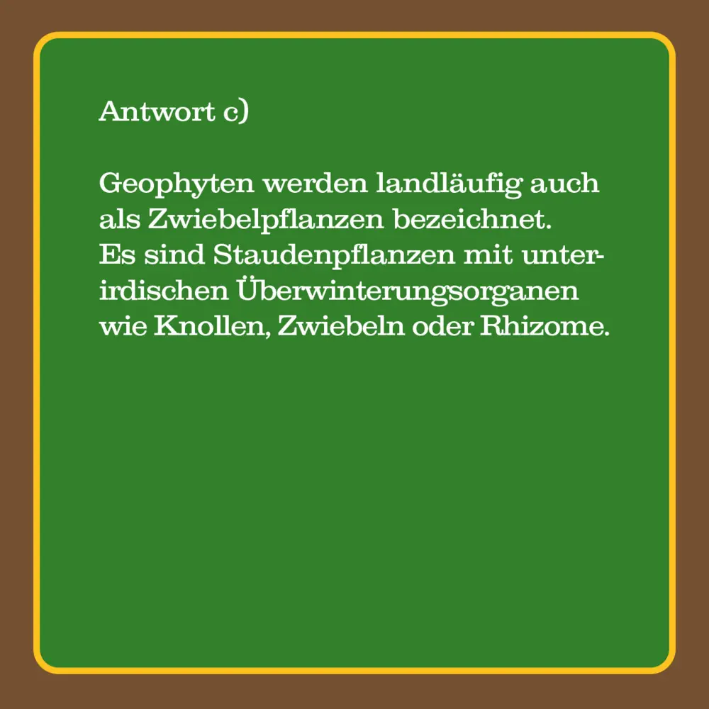 Bild: 4250364114738 | Das Garten-Quiz (Spiel) | 66 Fragen rund ums grüne Paradies | Spiel