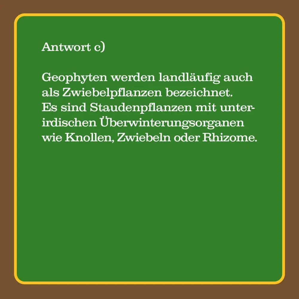 Bild: 4250364114738 | Das Garten-Quiz (Spiel) | 66 Fragen rund ums grüne Paradies | Spiel
