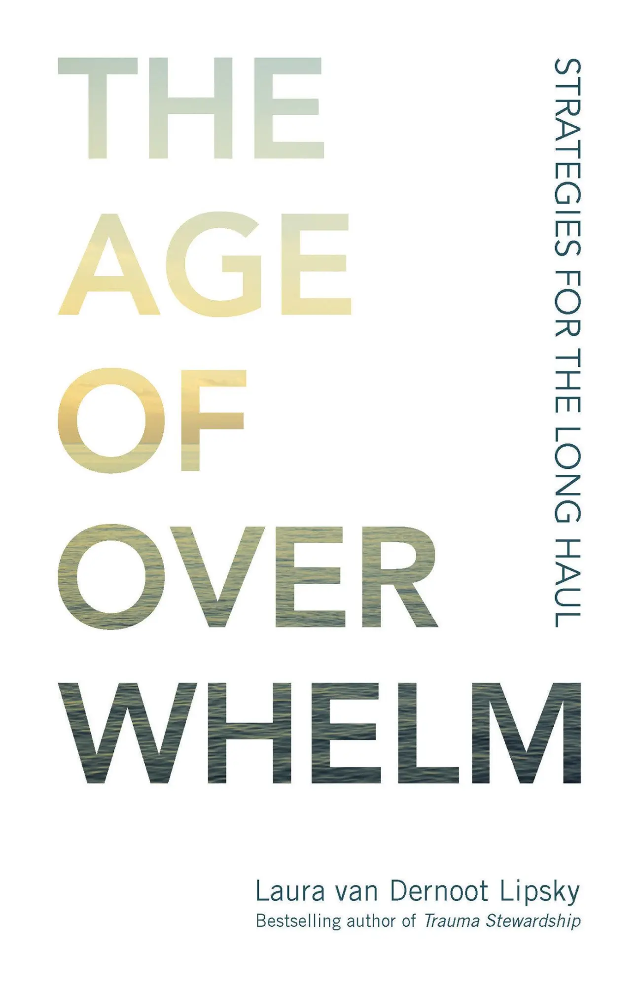Cover: 9781523094738 | The Age of Overwhelm: Strategies for the Long Haul | Lipsky | Buch