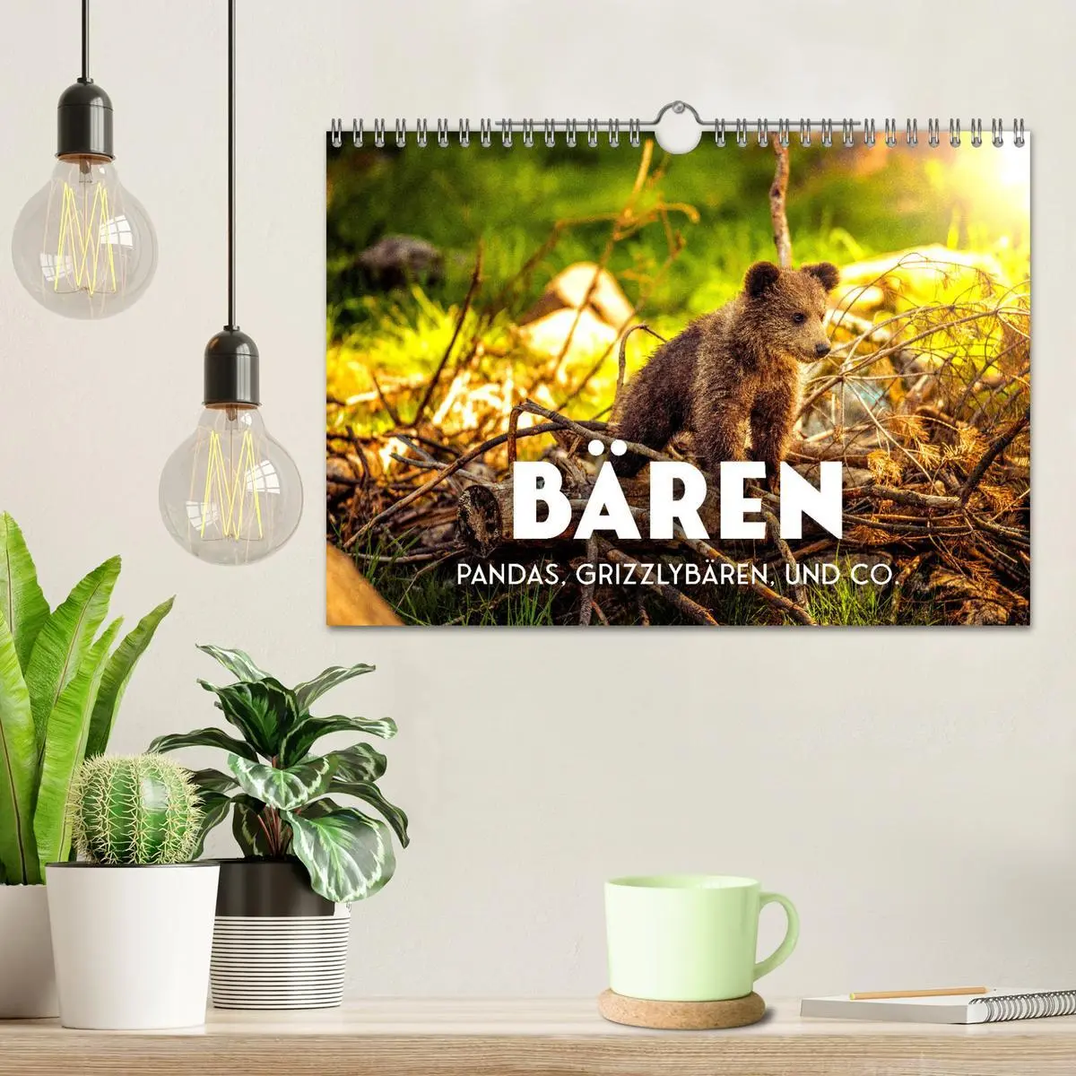 Bild: 9783457564738 | Bären - Pandas, Grizzlybären und Co. (Wandkalender 2026 DIN A4...