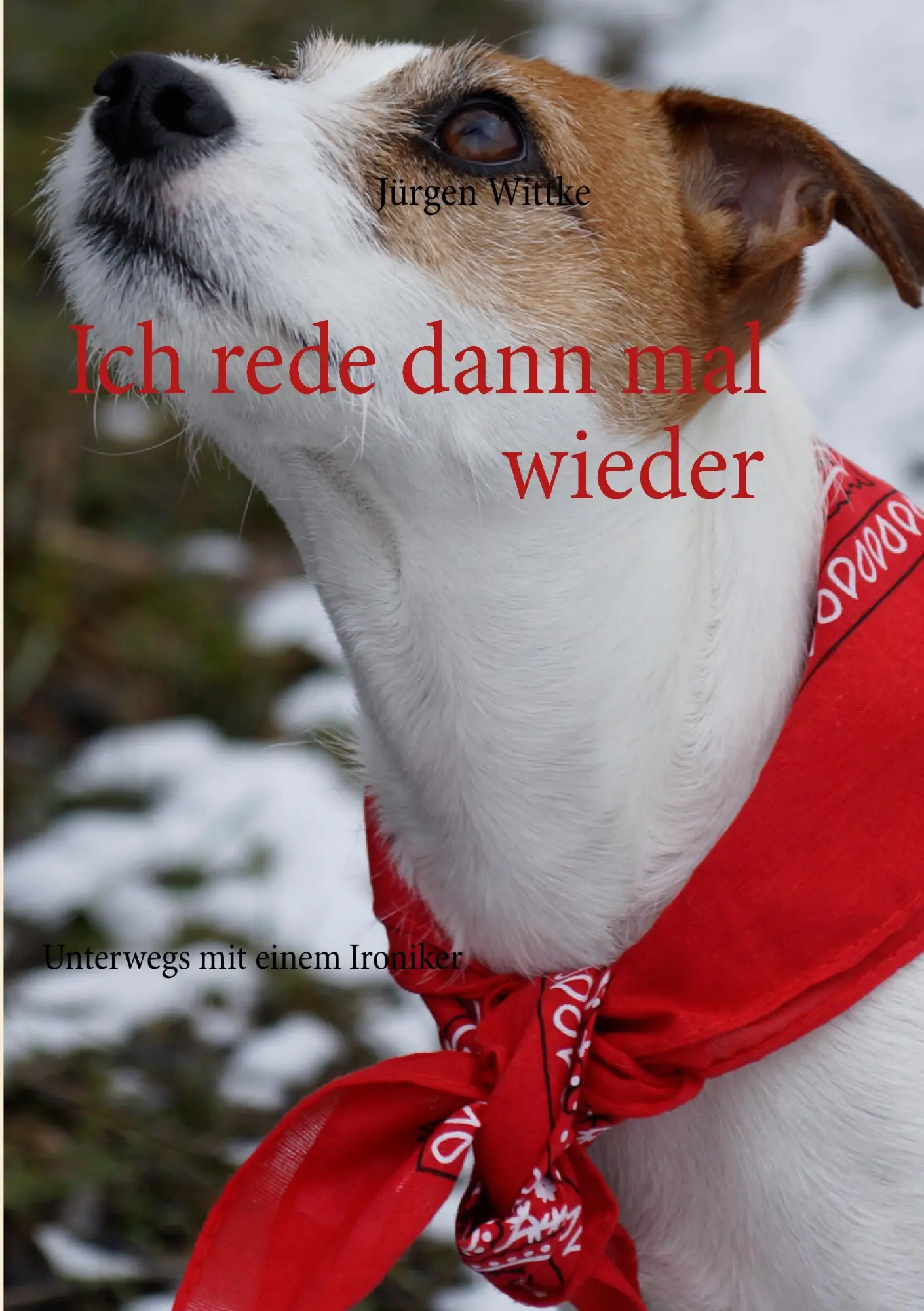 Ich rede dann mal wieder: Unterwegs mit einem Ironiker