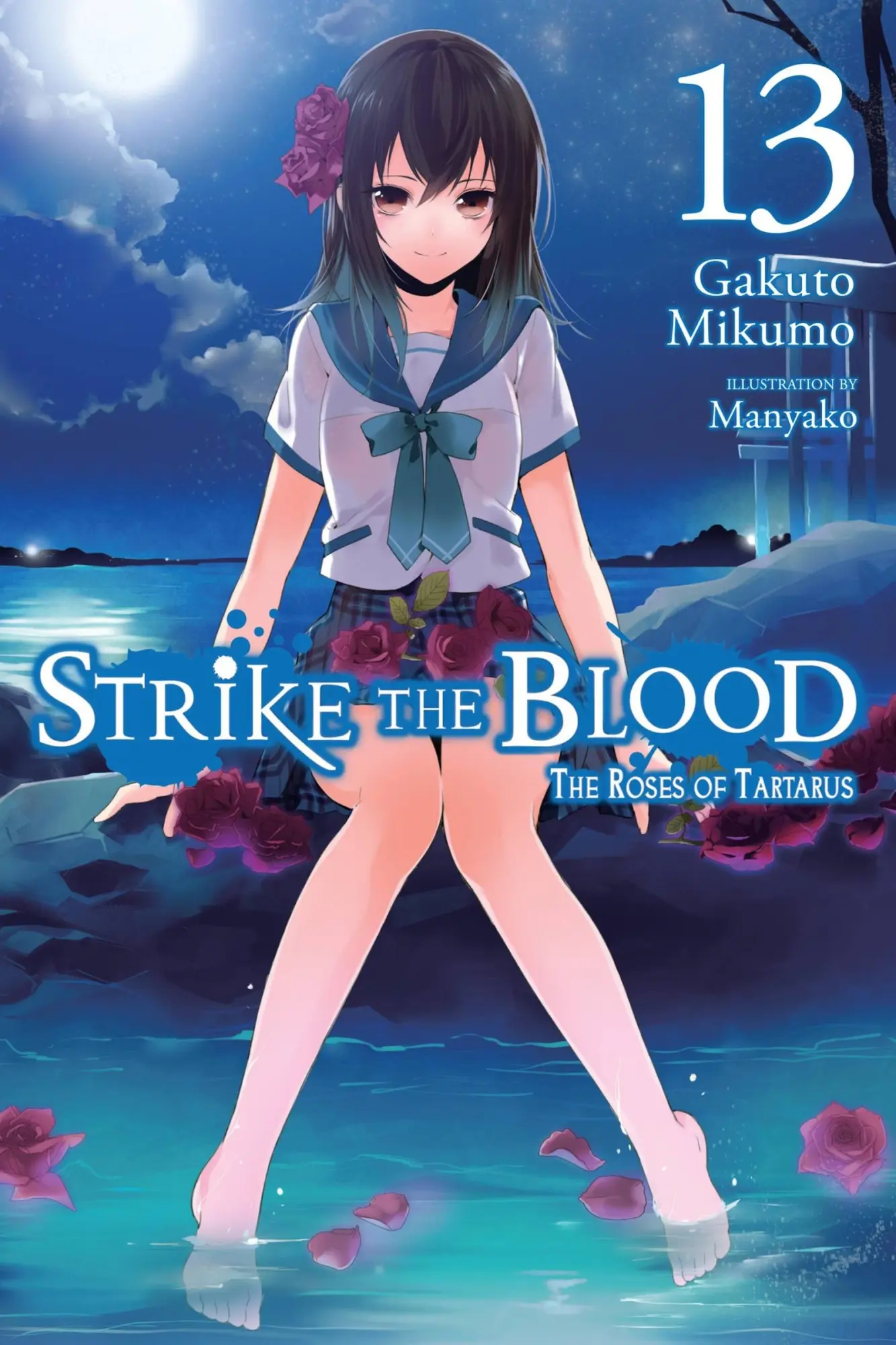 Cover: 9781975384838 | Strike the Blood, Vol. 13 (light novel) | Gakuto Mikumo (u. a.) | Buch
