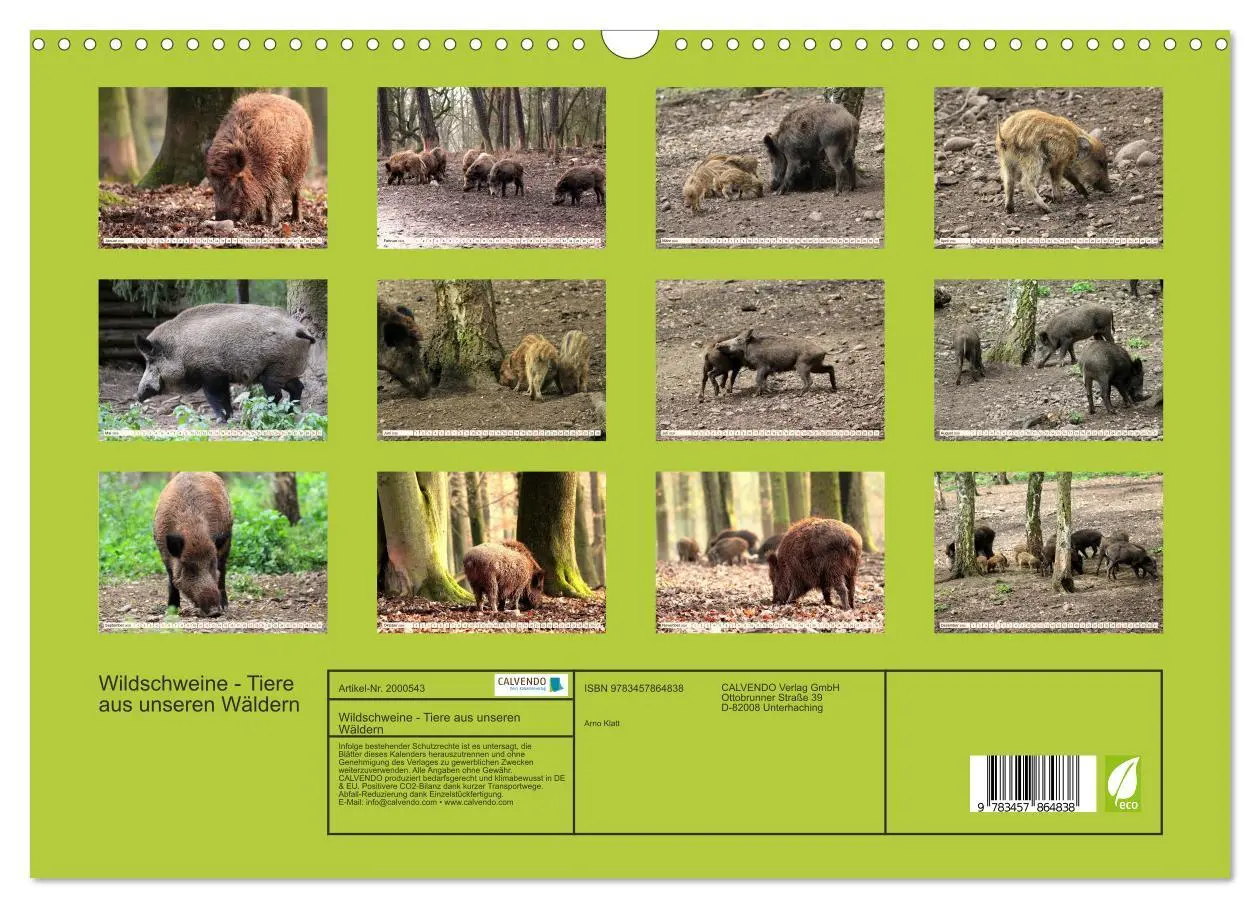 Bild: 9783457864838 | Wildschweine - Tiere aus unseren Wäldern (Wandkalender 2026 DIN A3...