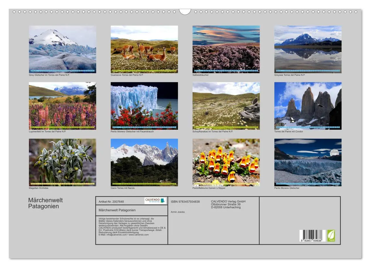 Bild: 9783457934838 | Märchenwelt Patagonien (Wandkalender 2026 DIN A2 quer), CALVENDO...