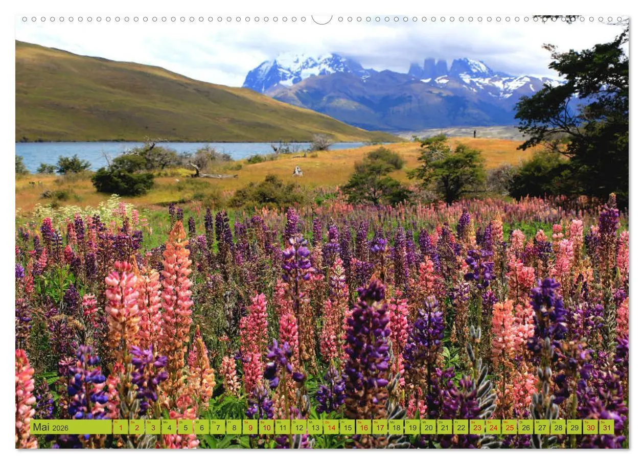 Bild: 9783457934838 | Märchenwelt Patagonien (Wandkalender 2026 DIN A2 quer), CALVENDO...
