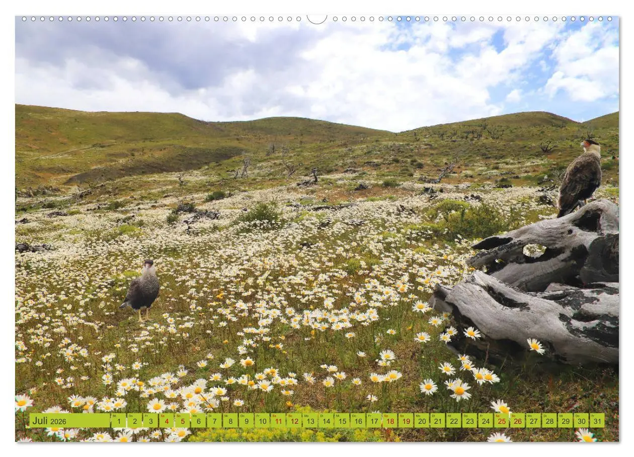 Bild: 9783457934838 | Märchenwelt Patagonien (Wandkalender 2026 DIN A2 quer), CALVENDO...