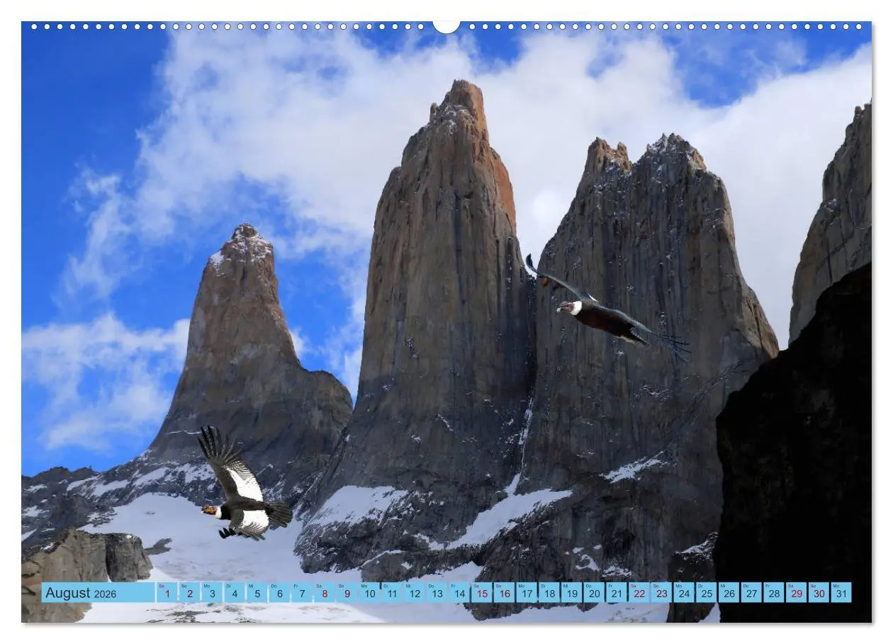 Bild: 9783457934838 | Märchenwelt Patagonien (Wandkalender 2026 DIN A2 quer), CALVENDO...