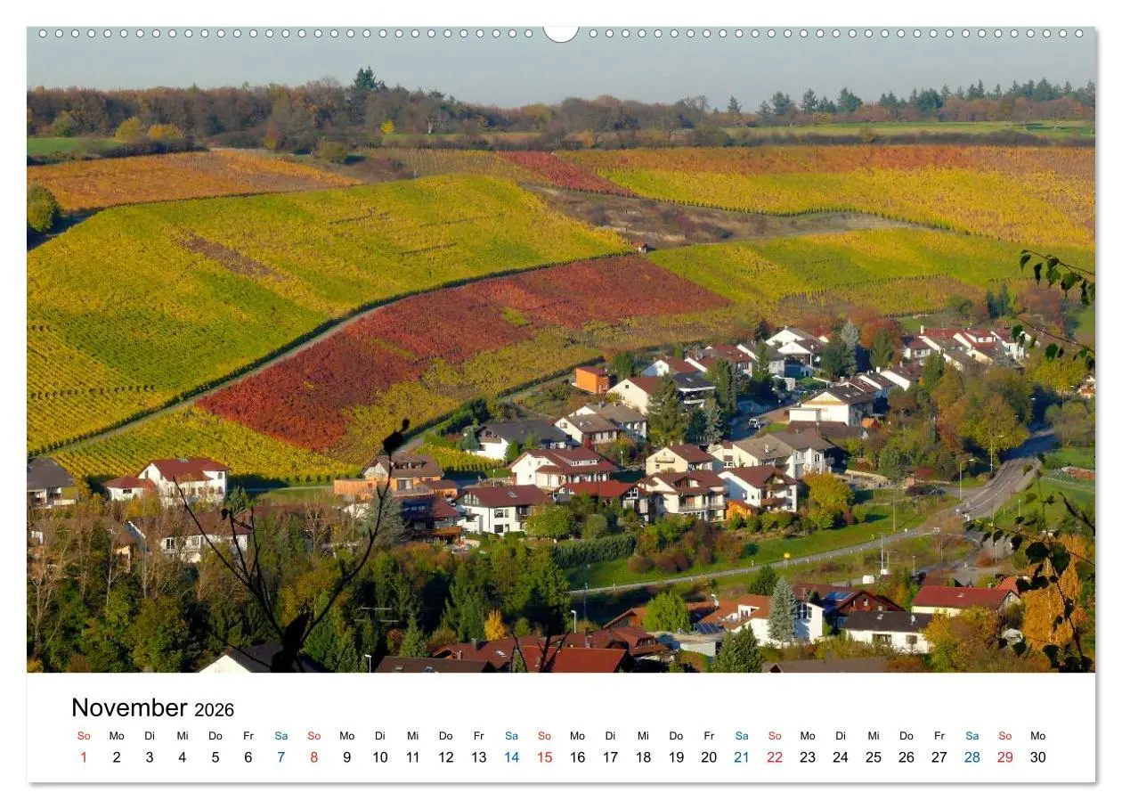 Bild: 9783516194838 | Württemberger Wein 2026 (Wandkalender 2026 DIN A2 quer), CALVENDO...