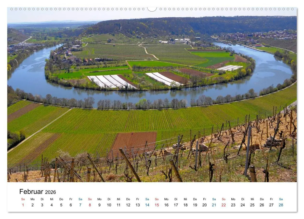 Bild: 9783516194838 | Württemberger Wein 2026 (Wandkalender 2026 DIN A2 quer), CALVENDO...