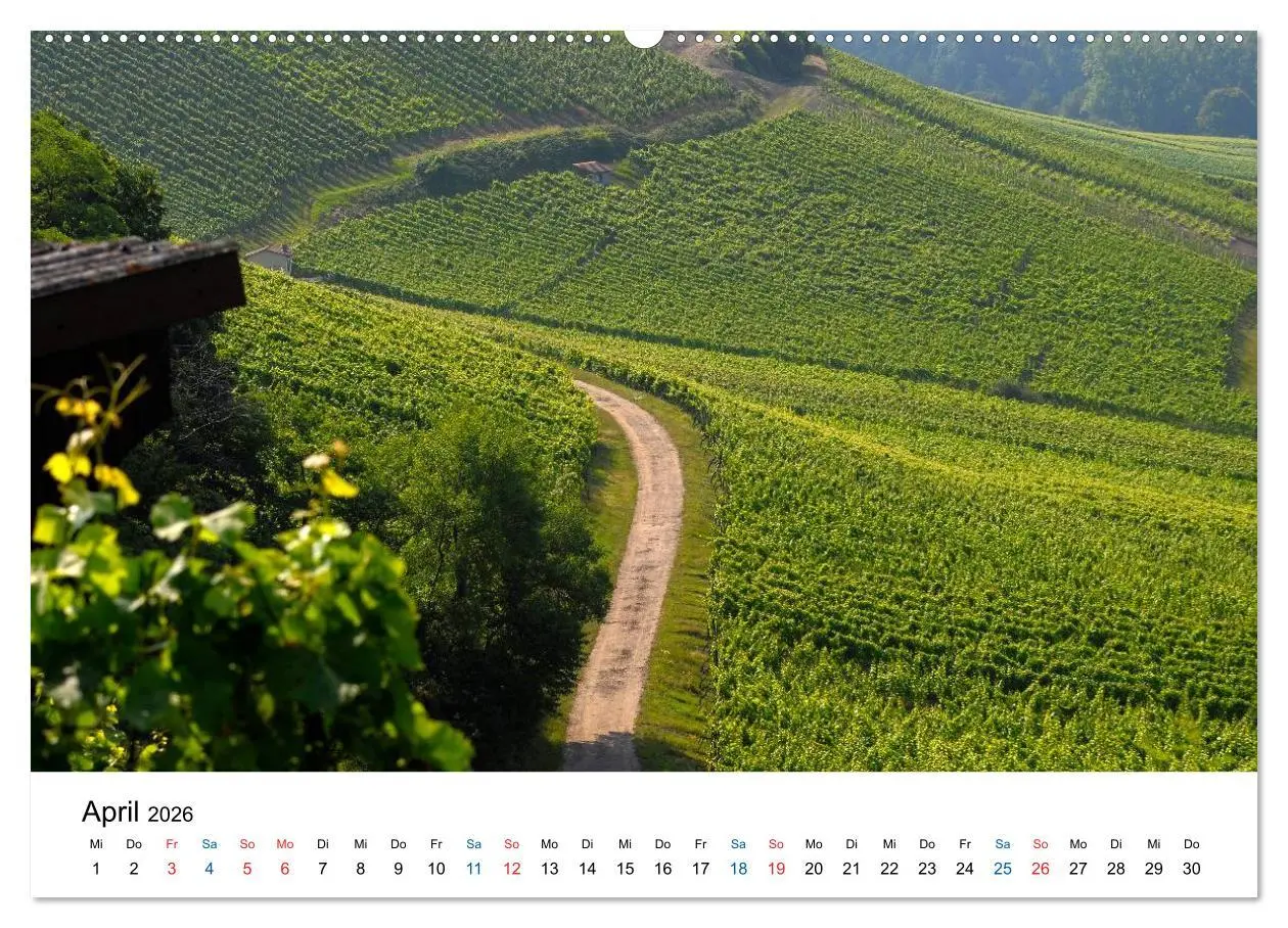 Bild: 9783516194838 | Württemberger Wein 2026 (Wandkalender 2026 DIN A2 quer), CALVENDO...