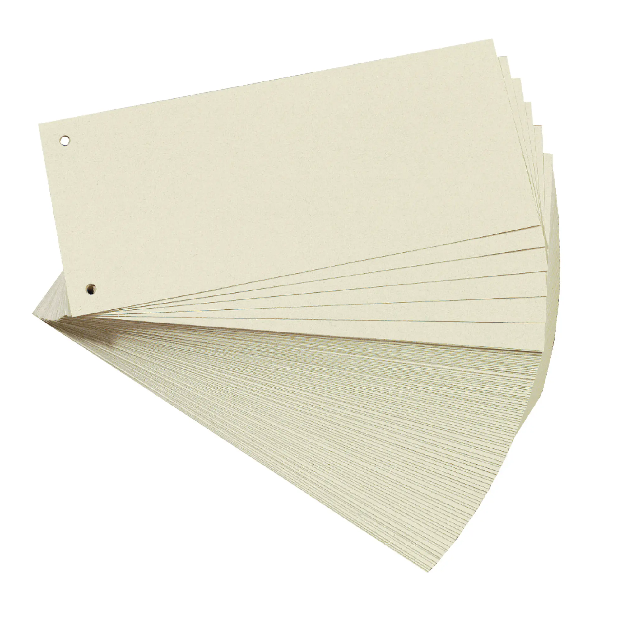 Cover: 4008110314938 | Herlitz Trennstreifen chamois 100er Set | Herlitz Trennstreifen | 2022