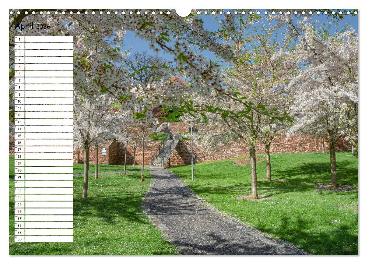 Bild: 9783457784938 | Lutherstadt Eisleben (Wandkalender 2026 DIN A3 quer), CALVENDO...