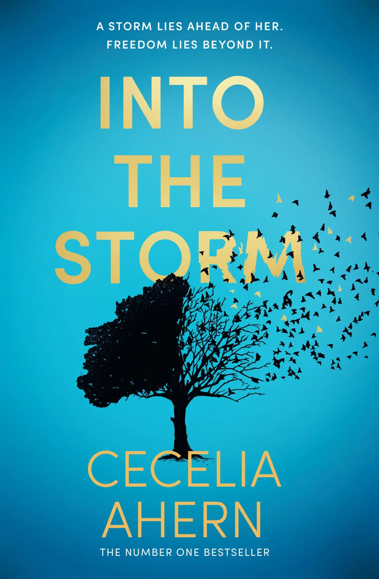 Cover: 9780008195038 | Into the Storm | Cecelia Ahern | Taschenbuch | 384 S. | Englisch
