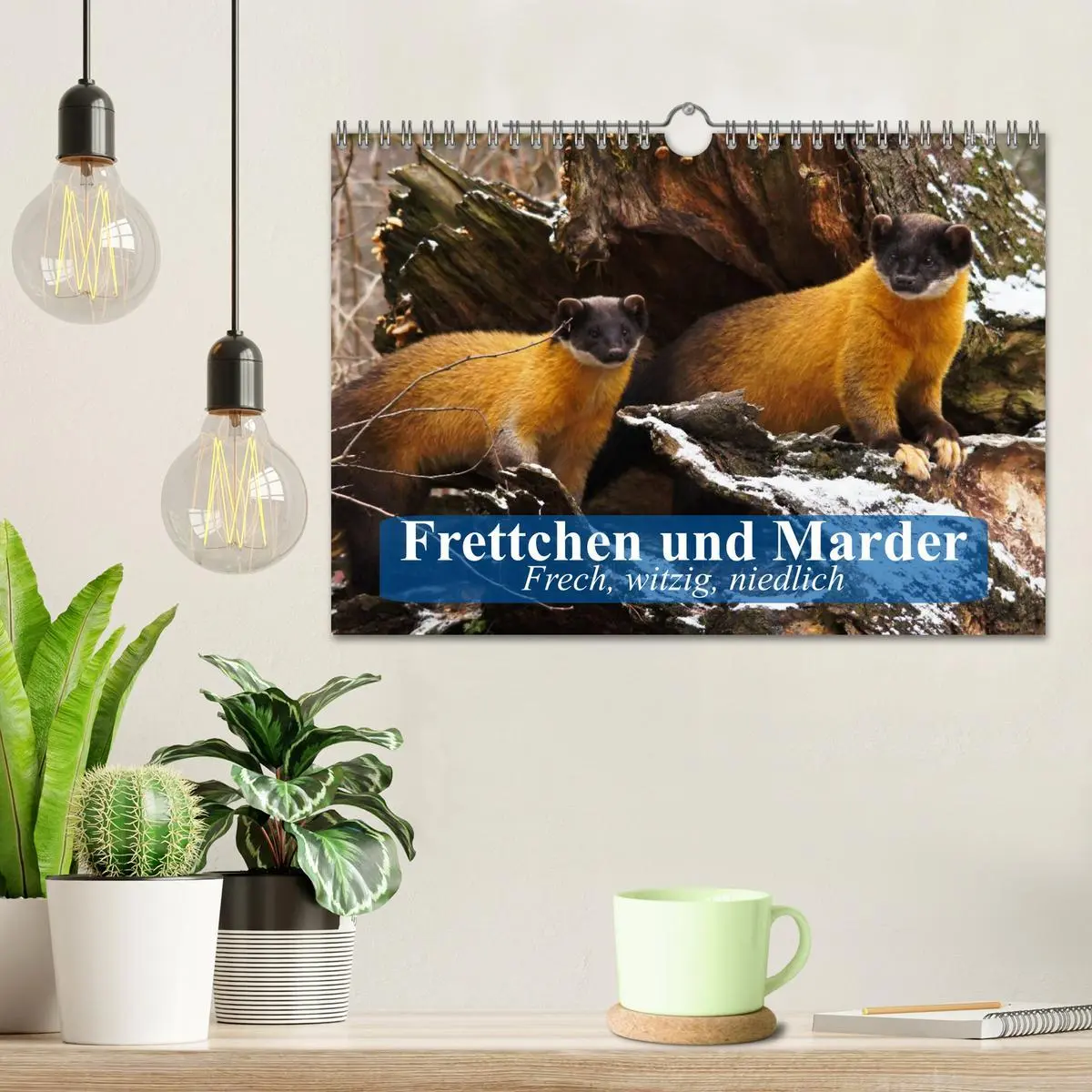 Bild: 9783457985038 | Frettchen und Marder. Frech, witzig, niedlich (Wandkalender 2026...